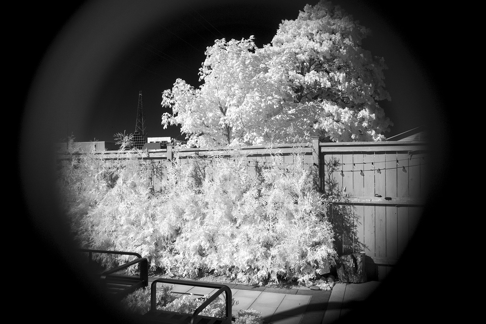 IMAGE: https://mashchenko.ca/pub/projects/IR_bw_sm.jpg