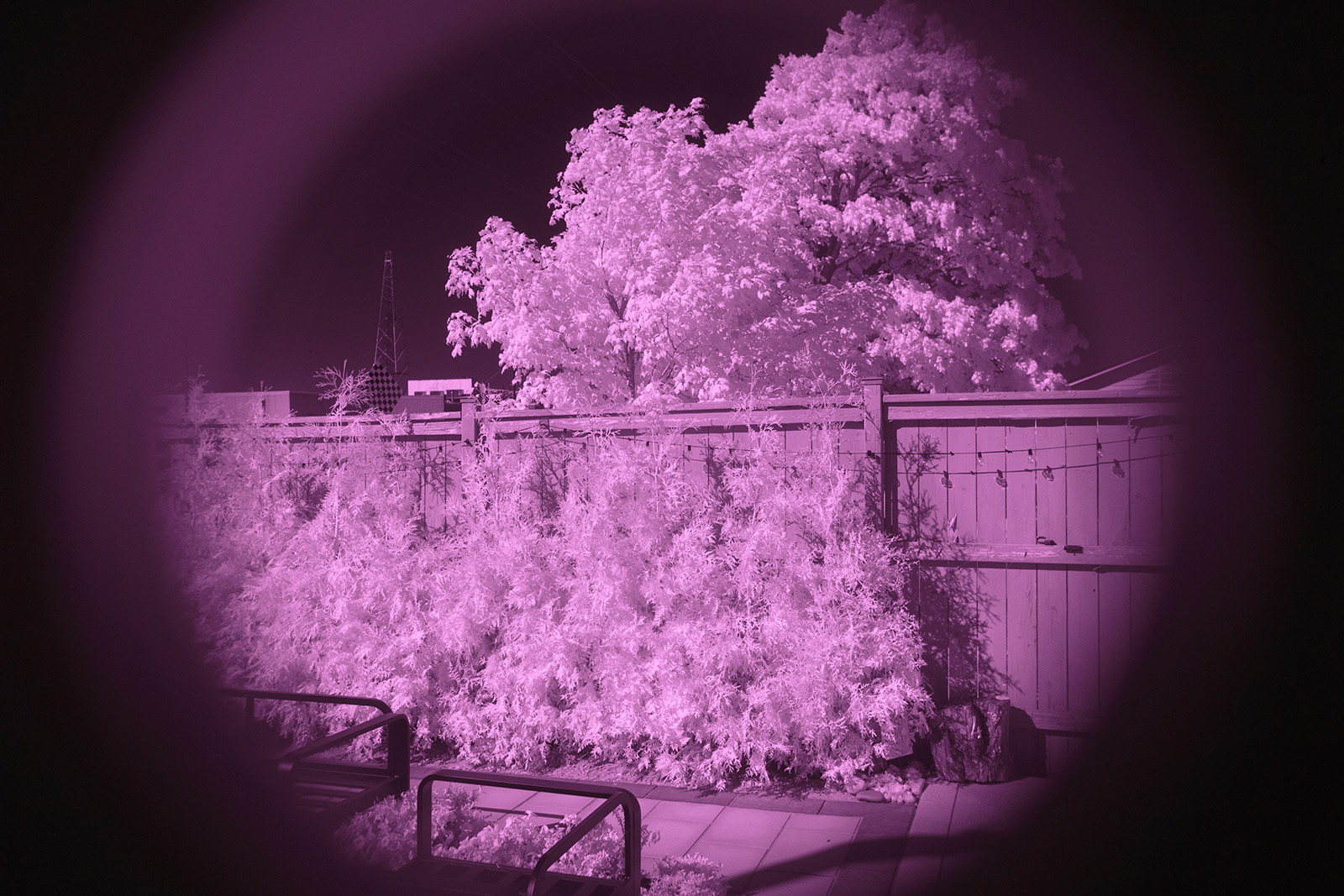 IMAGE: https://mashchenko.ca/pub/projects/IR_raw_sm.jpg